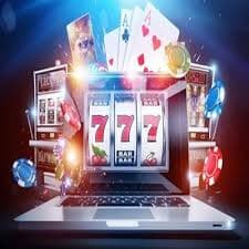 dgb33